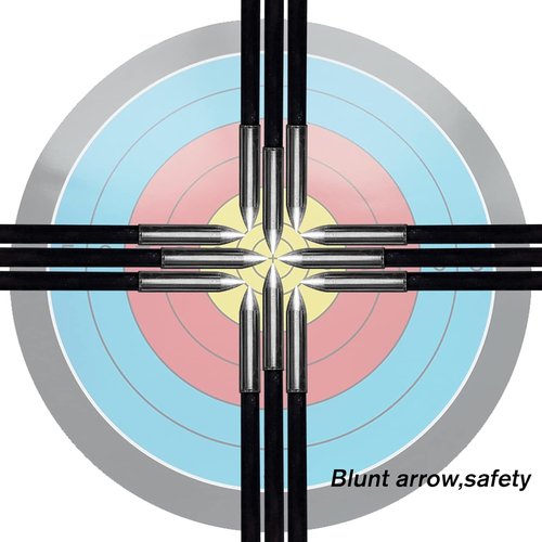 Lanneret Archery Practice Target Arrows - 26/28 Inch Fiberglass Arrows for Kids & Beginners (Pack of 12)
