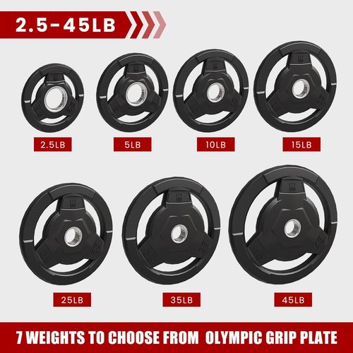 FAGUS H Weight Plate 2-Inch Rubber Coated Olympic Grip Plate for Barbell,Solid Cast Iron Weight Plates for Strength Training,Weightlifting,Crossfit,Home Gym,2.5LB Pair