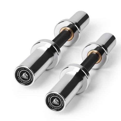 LIONSCOOL 16"/20” Loadable Dumbbells Pairs in Commercial Grade, Heavy Duty Olympic Dumbbell Bar/Handle for Strength Training, Compatible with 2’’ Standard Plates (Silver Chrome, 16 INCH)