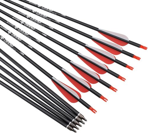Carbon Arrow Hunting Arrows - 100 Grain Removable Tips for Compound, Recurve & Traditional Bows | Pack of 12