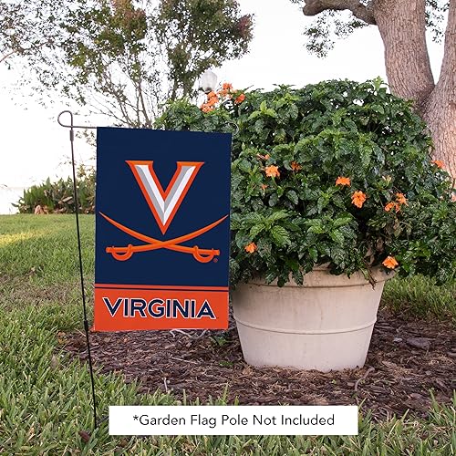 Blue Desert Cactus University of Virginia UVA Garden Flag - Double-Sided Outdoor Banner
