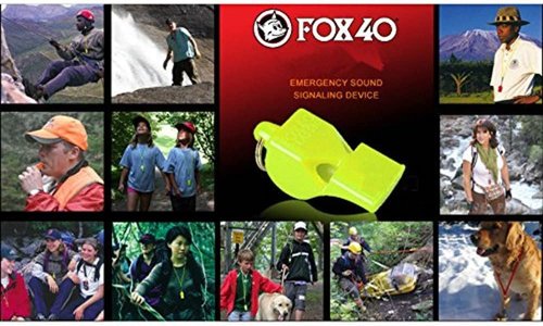 Fox 40 Classic CMG Pealess Safety Whistle - 115 dB Loudness | Purple with Lanyard
