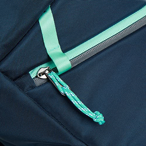 Travelon Anti-Theft Greenlander 21L Backpack
