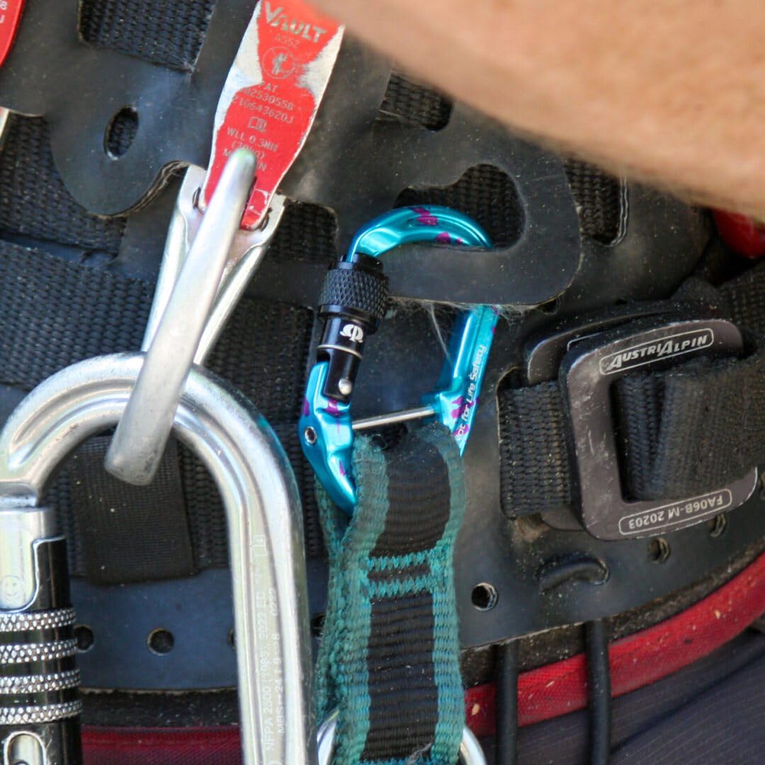Omega Pacific Micro Raider Captive Aluminum Keylock Screw-Lok - Our Top Carabiner has Been Scaled Down to Create The Ultimate Accessory Connector (Blue Crush)