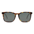 Peepers by PeeperSpecs Mateo Oversized Reading Sun