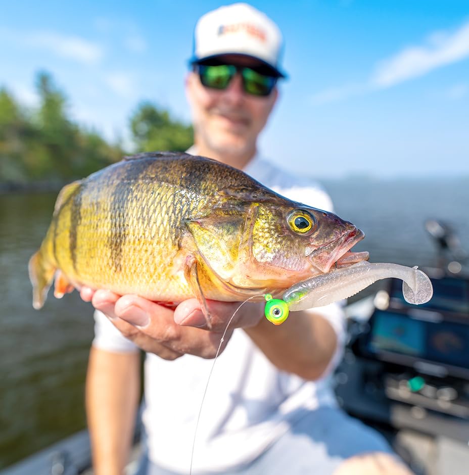 Rapala CrushCity Mayor Soft Plastic Paddle Tail Swimbait, Strong Kicking Action for Swim Jigs & Underspins, Bass, Redfish, Trout, Snook, Walleye & More, Green Pumpkin Disco, 3"