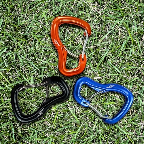 Rainbow Aluminum Keychain Carabiner Clips 2 Pack for Backpack Dog Leash