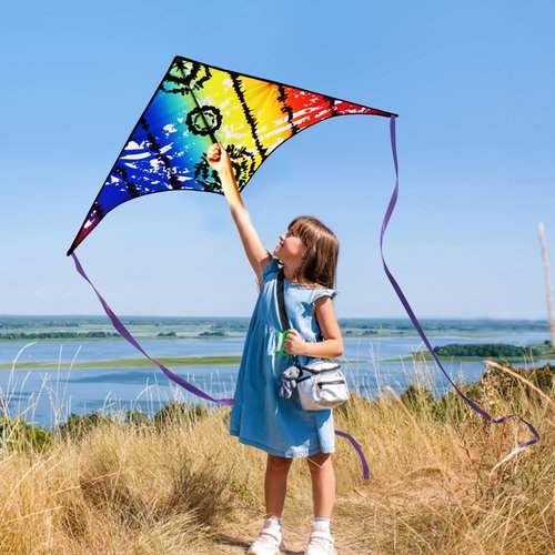 HONBO Large Delta Kite - Easy to Fly for Kids & Adults | Colorful Tail & String Line Included