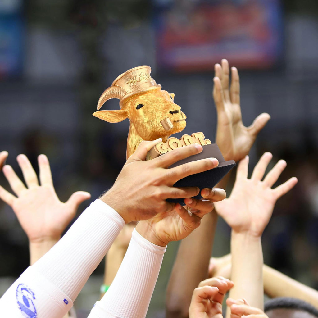 Zhengmy Goat Trophy Winner Award G. O. A. T. Funny Gifts for Dad, Humorous Resin Statue Appreciation Recognition Plaque for Sports Office Employee Boss Coworker(Golden)