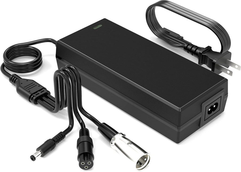 Skiennix Electric Ebike Charger - 54.6V 2A with 3 Plugs for 48V Battery | Compatible with F1, F2 Models