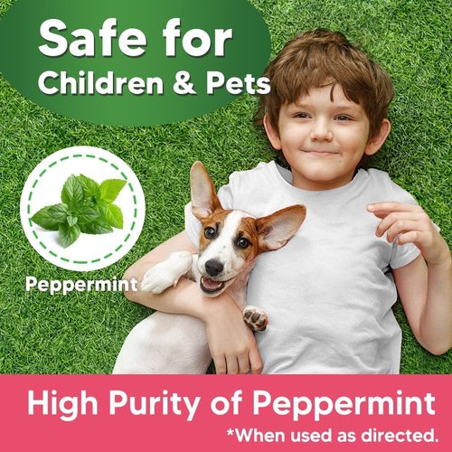 AUDQQM Squirrel Repellent Outdoor, Chipmunk Repellent, Peppermint Deterrent to Keep Squirrels & Chipmunks Away, Suitable for Garden, Yard, Attic, Lasting 60 Days-10 Packs