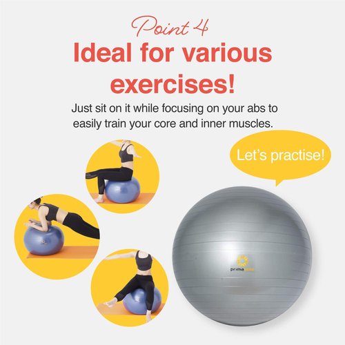 PRIMASOLE Exercise Ball for Balance Stability Fitness Workout Yoga Pilates at Home Office & Gym 65cm Silver Gray 65cm Silver Gray, 25.6 inch & 65 cm