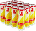 WILSON Championship Tennis Balls - High-Performance, Durable, Ideal for All Court Surfaces