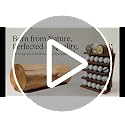 Jialitang Solid Cypress Wood Golf Ball Display Case Black Walnut - Holds 20 Balls & Memorabilia