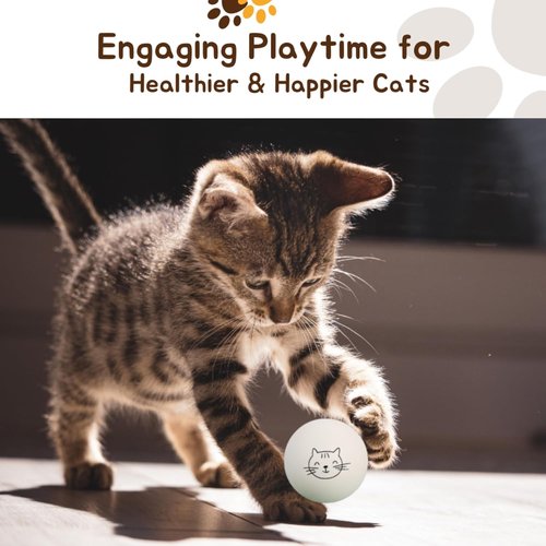 Cloverjoyed Cat Ping Pong Balls - 6 Pack Enrichment Toys for Playful Cats | Ideal Gift for Cat Lovers