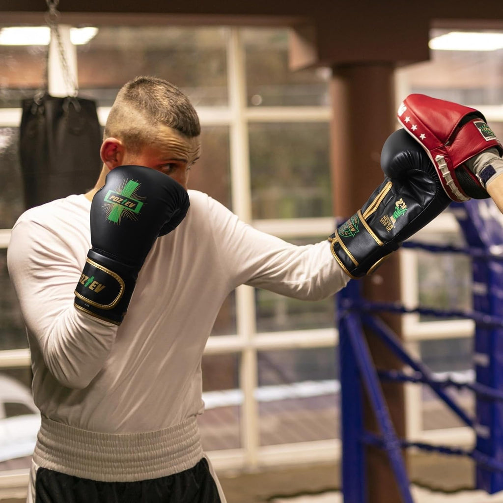 Regine Switzerland Boxing Gloves - Professional Sparring & Heavy Bag Training | Ideal for MMA & Kickboxing