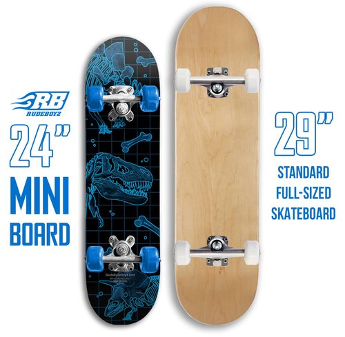 24 inch Rude Boyz Mini Cruiser Skateboard - Aluminium Trucks - Kids Skateboard Ages 5-8 Beginner - Skateboards for Kids