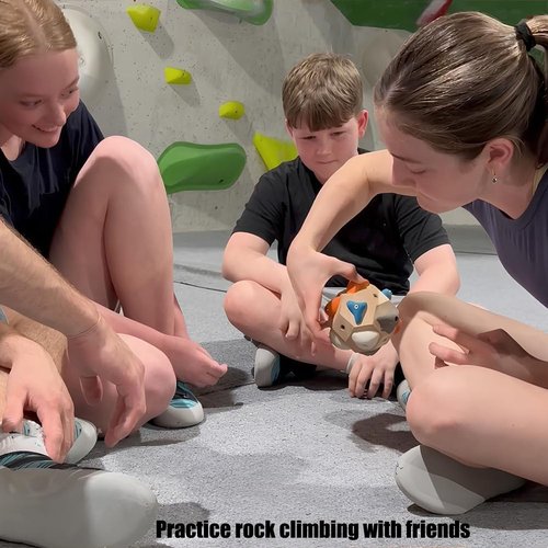 Kaminii Boulder Block for Climbers, New Handcrafted 3D Rock Climbing Ball, Includes Detailed Instructions and Gameplay Rules., Finger Strength Training Climbing Ball Gifts for Rock Climbers