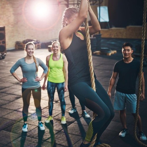 VIVITORY Gym Fitness Training Climbing Ropes, Workout Gym Climbing Rope, Home Training and Fitness Workouts,1.5'' in Diameter, Available 10, 15, 25, 30 Ft (10 ft)
