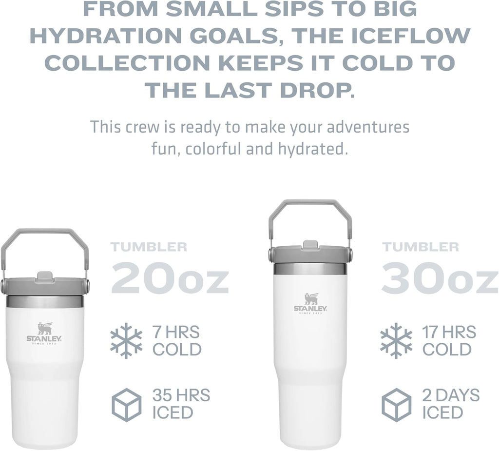 Stanley IceFlow 20 oz Flip Straw Tumbler - Insulated Stainless Steel, Leak Resistant, BPA-Free | Fog
