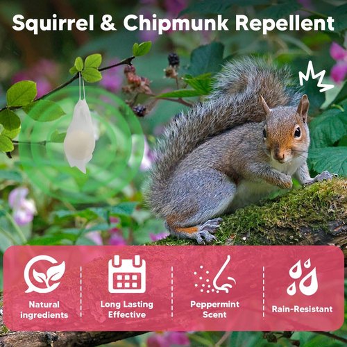 AUDQQM Squirrel Repellent Outdoor, Chipmunk Repellent, Peppermint Deterrent to Keep Squirrels & Chipmunks Away, Suitable for Garden, Yard, Attic, Lasting 60 Days-10 Packs