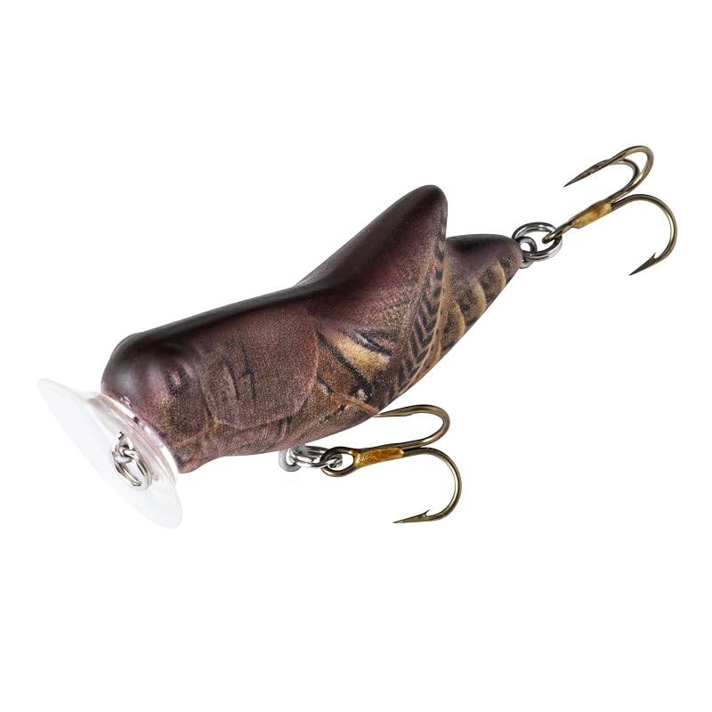 Rebel Crickhopper Popper – Matte Brown +1.75"
