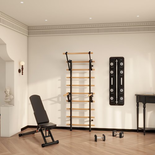 DHT Stall Bars & Pull-Up Bars - Wall Mounted Calisthenics Dip Bar Accessory - Home Office Fitness