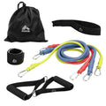 RBX 6 Piece Home Gym Resistance Kit - Light, Medium, Heavy Resistance Bands, Grip Handles, Door Anchor, Ankle Strap & Carry Bag (Pink)