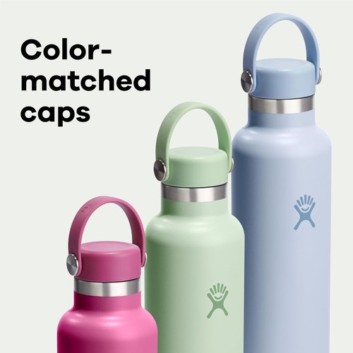 Hydro Flask Water Bottle - Insulated Stainless Steel - Leakproof & Non-Spill | 24 Oz Birch Gray