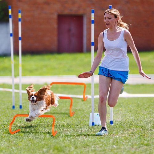 SMTPDT Agility Hurdles Training Equipment - 10 Speed Hurdles and 10 Soccer Cones with Carrying Bag for Soccer, Football, and Track Drills, Ideal for Athletes Speed and Agility Training
