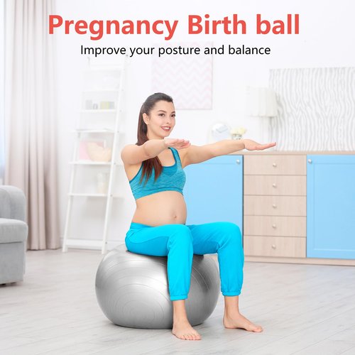 PRIMASOLE Exercise Ball for Balance Stability Fitness Workout Yoga Pilates at Home Office & Gym 65cm Silver Gray 65cm Silver Gray, 25.6 inch & 65 cm