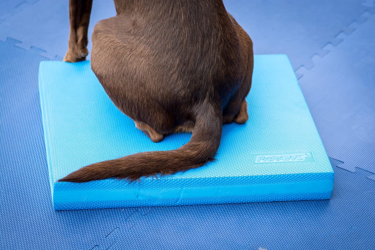 Balance Pad - FitPaws