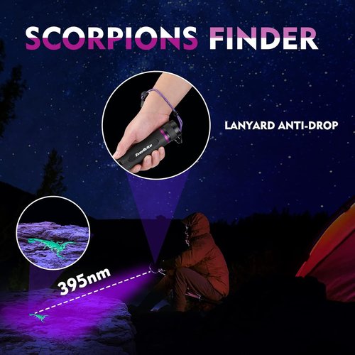 EverBrite UV Flashlight - 128 LED Blacklight for Pet Urine Detection & Scorpion Spotting | 395nm, Batteries Included