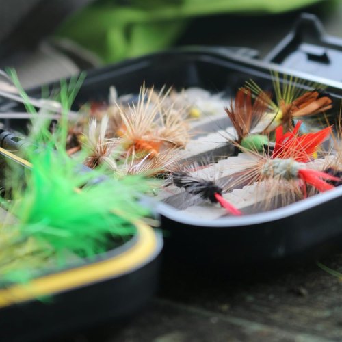 Fly Fishing Flies Assortment Kit - 100PCS Tenkara Dry/Wet Flies with Box for Trout, Salmon & Bass