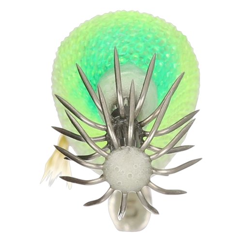 Shimano F Banana Chart SEPHIA Clinch Flash Boost Egi (Squid Jig) (SEPCL25FBFBC) Fishing