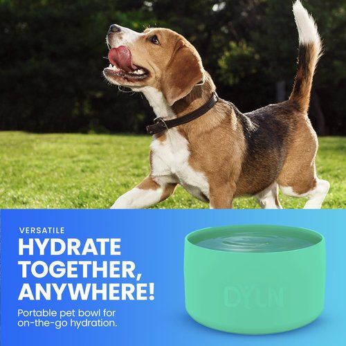 DYLN Water Silicone Large Bottom Guard for 25 oz DYLN Alkaline Water Bottles, Doubles as Dog Bowl, Flexible Silicone Water Bottle Boot, Versatile Water Bottle Bottom Protector, Mint