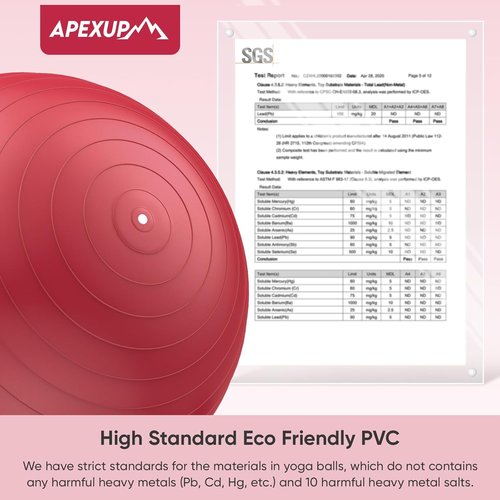 APEXUP Yoga Ball - Anti-Slip Heavy Duty Exercise Ball for Fitness & Core Training | 5 Sizes Available