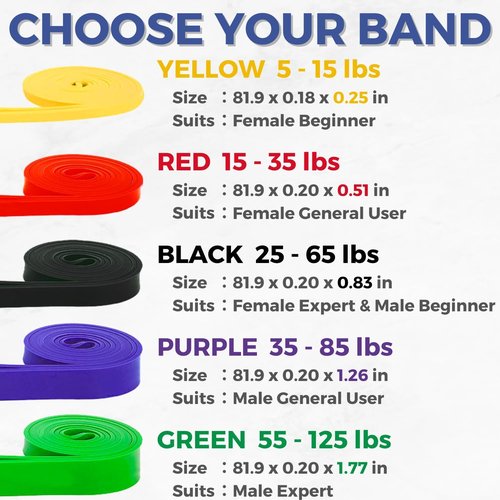 LEZER Resistance Bands - Versatile Pull Up Bands for Home Gym Fitness & Physical Therapy - Includes Instructions