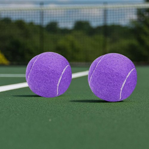 URBEST Tennis Ball, 10PCS Training Tennis Balls, Comes with a Net Bag for Easy Carrying, Beginner Training Tennis Balls, Pet Dog Exercise Ball(Purple)