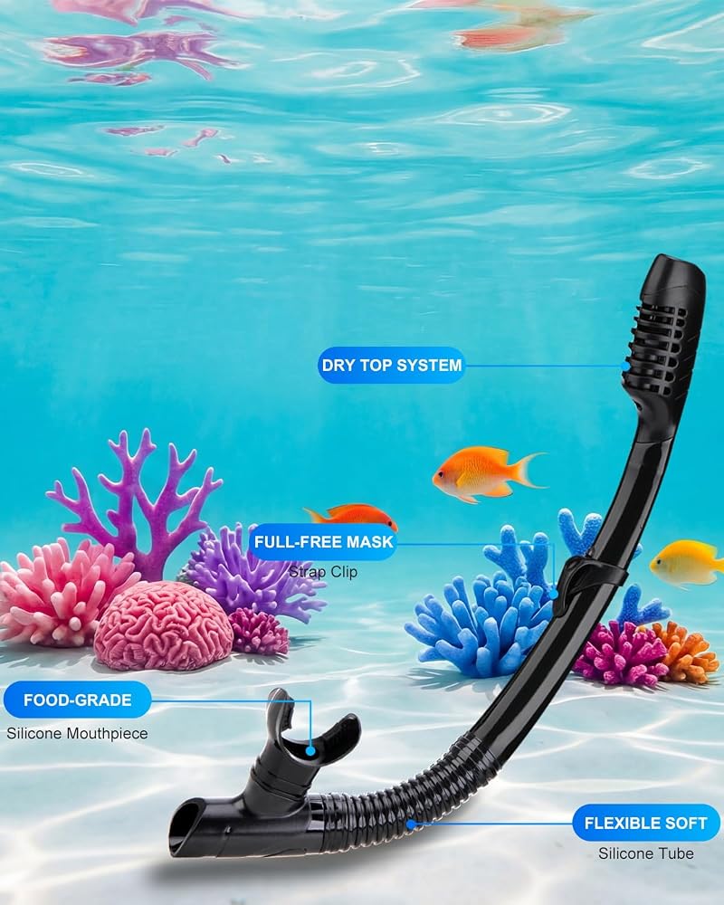 Dry-Valve Snorkel Mask Set for Adults - Black Variation