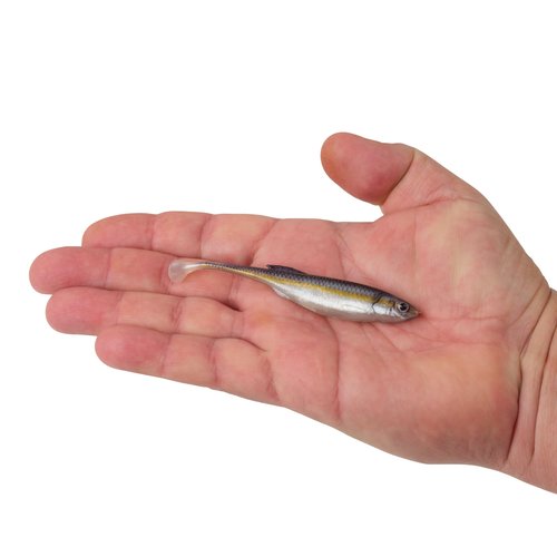 Berkley PowerBait Drip Swimmer Fishing Soft Bait