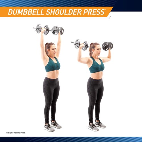 Marcy Standard Size (Fits 1-inch Plates) Curl Bar and Dumbbell Handle Set SDC-10.1