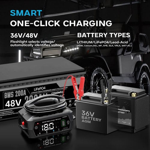Golf cart Battery Charger, 48V 13A and 36V 18A Trickle Battery Charger,48 Volt Golf Charger,for EZGO RXV&TXT Smart Charger,Lithium,LiFePO4,Lead-Acid AGM/Gel/SLA..BatteryCharger,3-Pin (Delta-Q)