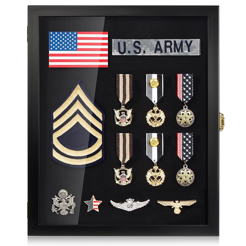 11x14 Pin Display Case for Military Badges & Medals - Black Variation