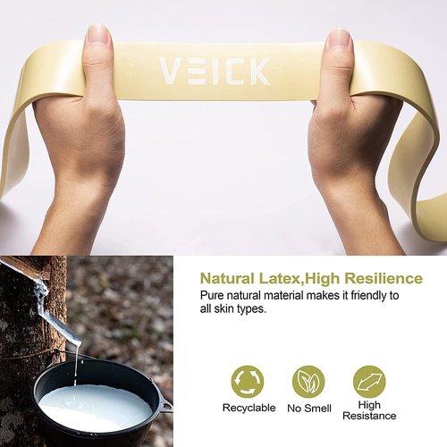 VEICK Resistance Exercise Band Set Workout Tension Bands Fitness Bands Body Stretch Bands for Pull Up Assist Training Strength Weighted Gyms, Green