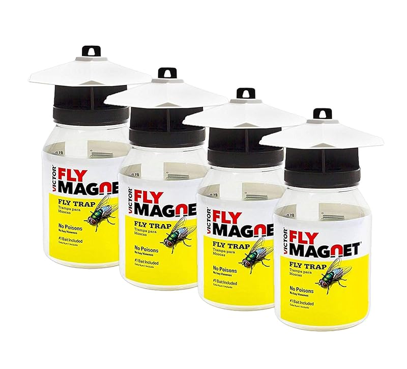 Fly Magnet Reusable Trap with Bait – 4 Pack