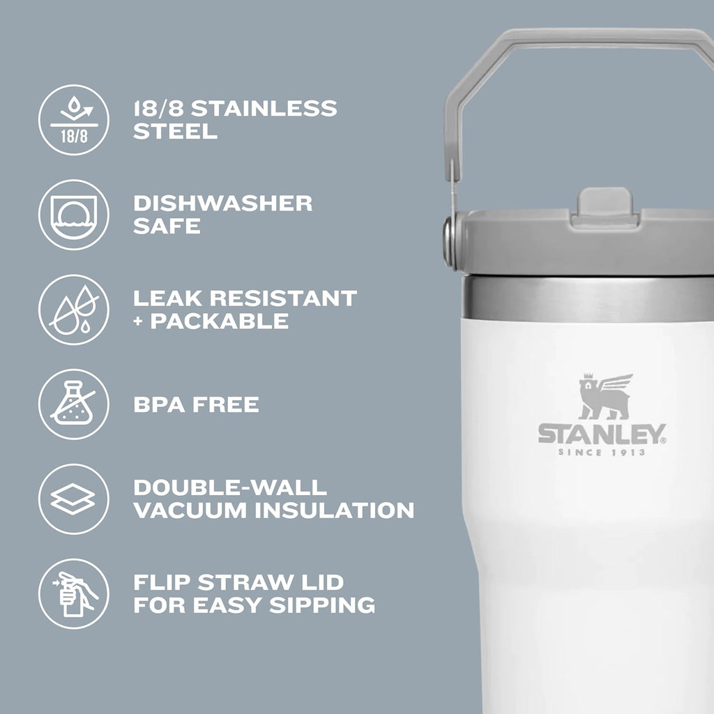 Stanley IceFlow 20 oz Flip Straw Tumbler - Insulated Stainless Steel, Leak Resistant, BPA-Free | Alpine