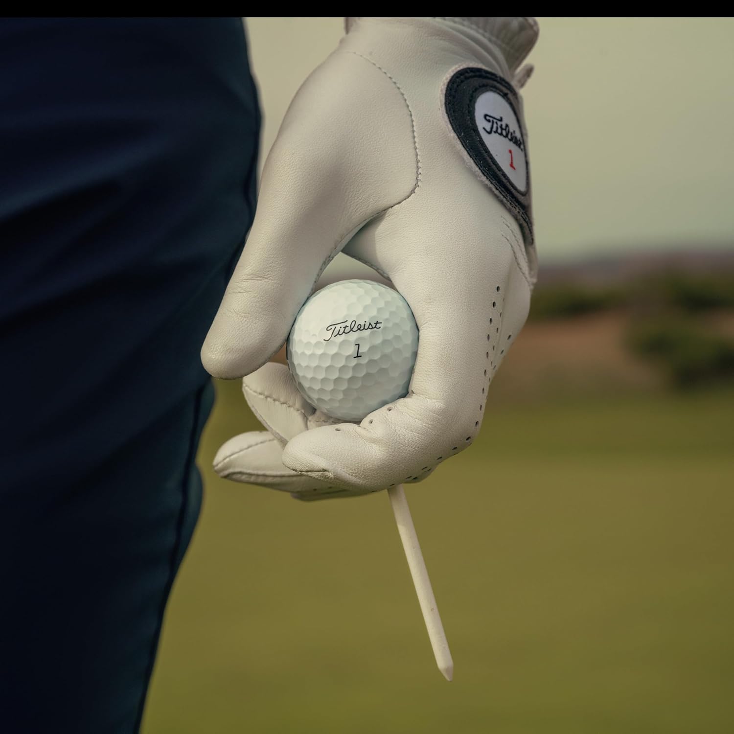 Titleist Pro V1X Golf Balls - Personalized with Logo, Image, or Text | Set of 12