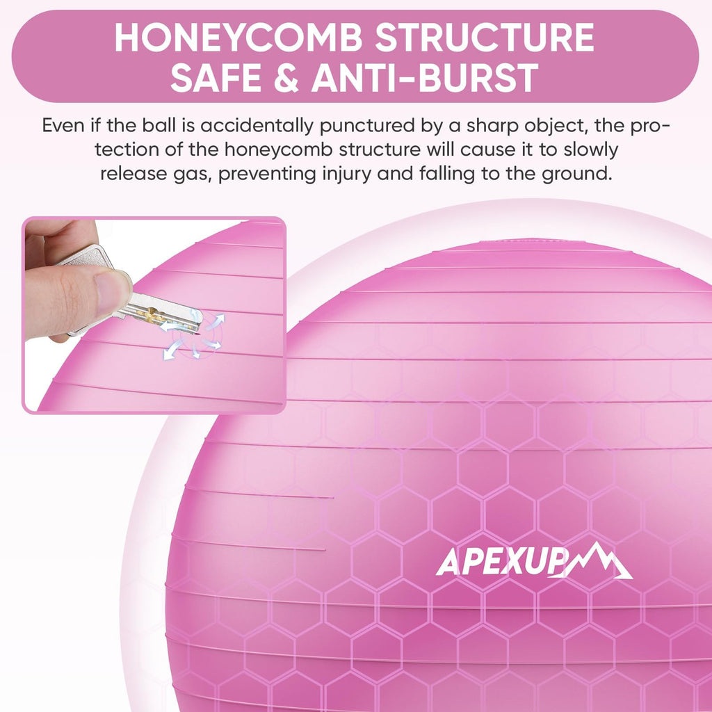 APEXUP Yoga Ball, 660 lbs Anti-Burst Exercise Ball with Pump, 5 Sizes (M (19"~22) 55cm, Fuschia)