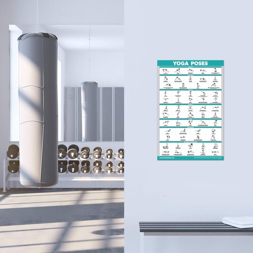 11 Pack - Exercise Poster Set, Dumbbell, Suspension, Kettlebell, Resistance Bands, Stretching, Bodyweight, Barbell, Yoga, Exercise Ball, Muscular System, Medicine Ball (LAMINATED, 18" x 24")